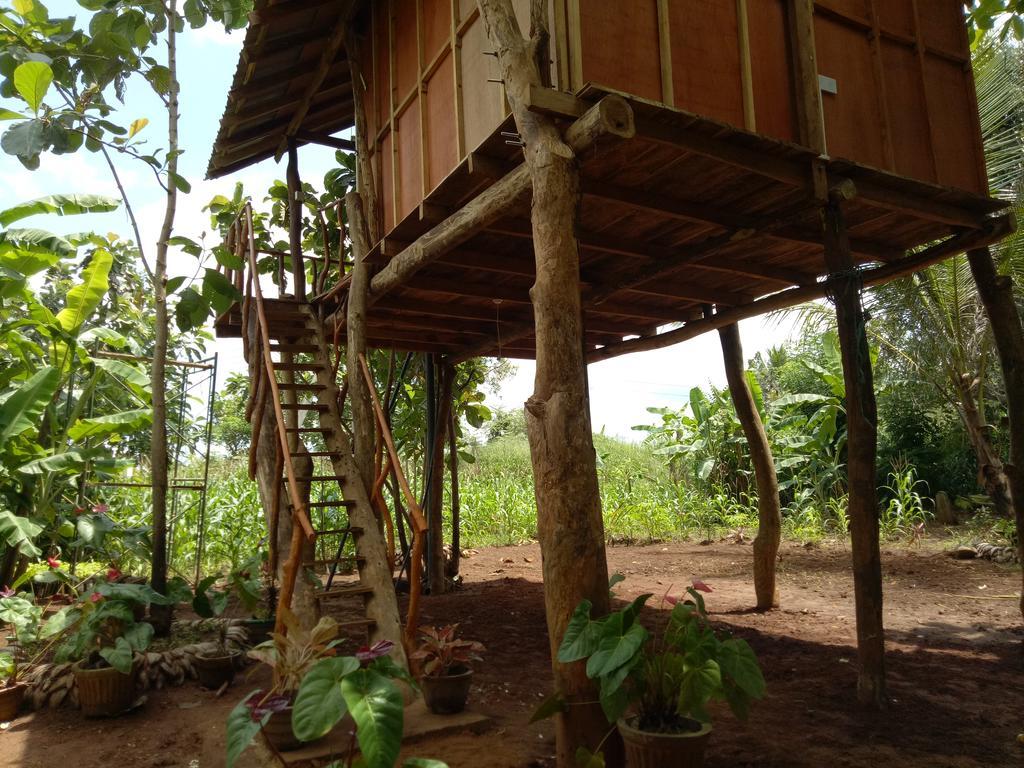 מלון סיגירייה Sigiri Aliya Tree House מראה חיצוני תמונה