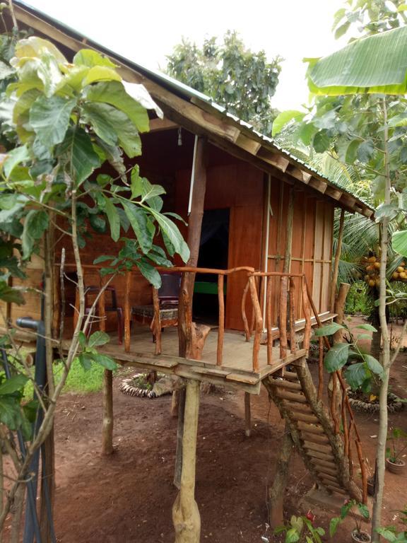 מלון סיגירייה Sigiri Aliya Tree House מראה חיצוני תמונה