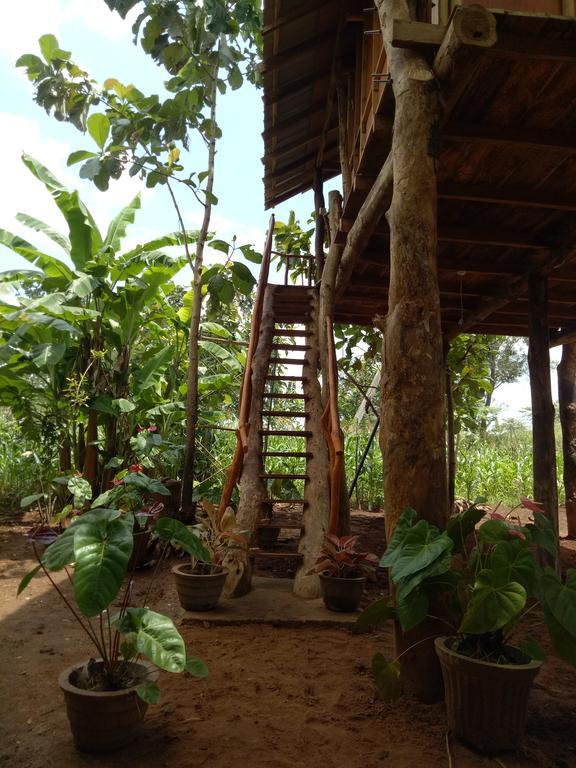 מלון סיגירייה Sigiri Aliya Tree House מראה חיצוני תמונה