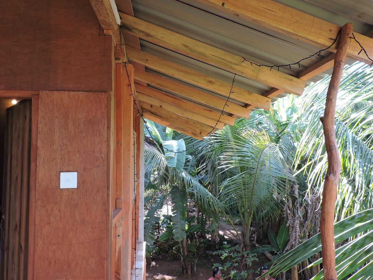 מלון סיגירייה Sigiri Aliya Tree House מראה חיצוני תמונה
