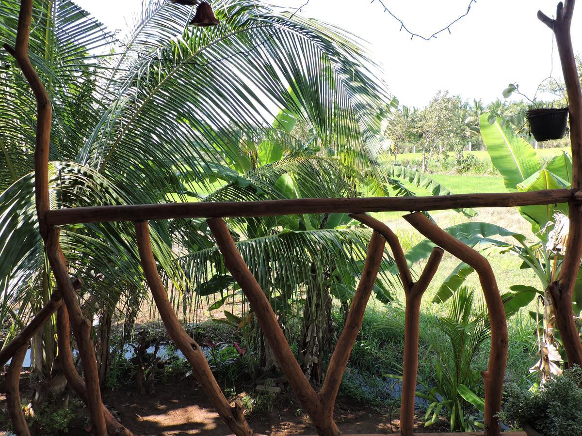 מלון סיגירייה Sigiri Aliya Tree House מראה חיצוני תמונה