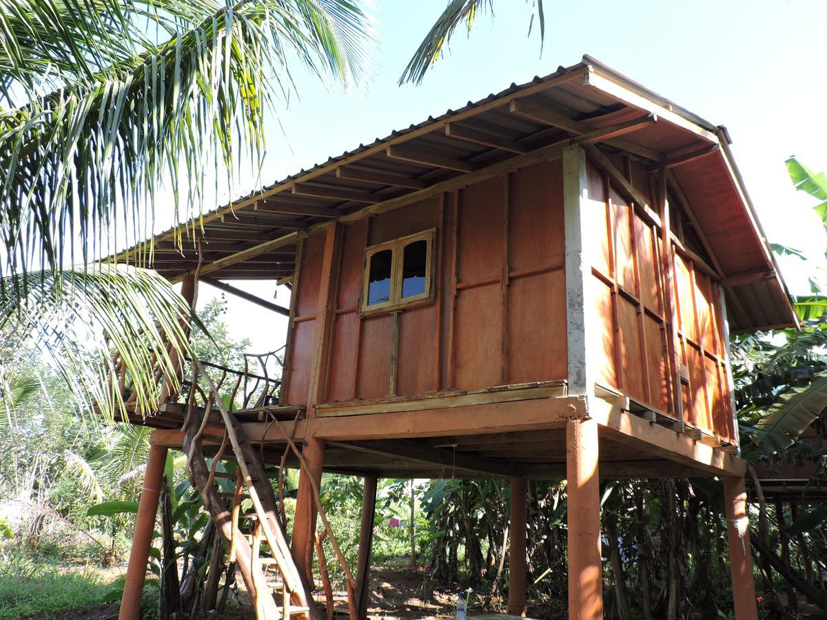 מלון סיגירייה Sigiri Aliya Tree House מראה חיצוני תמונה