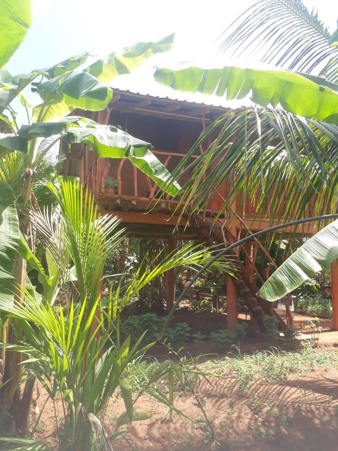 מלון סיגירייה Sigiri Aliya Tree House מראה חיצוני תמונה