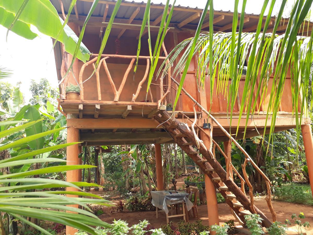 מלון סיגירייה Sigiri Aliya Tree House מראה חיצוני תמונה
