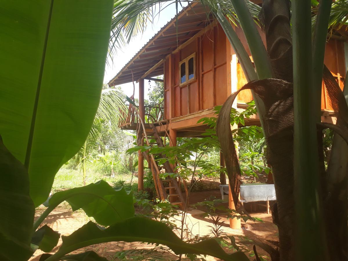 מלון סיגירייה Sigiri Aliya Tree House מראה חיצוני תמונה