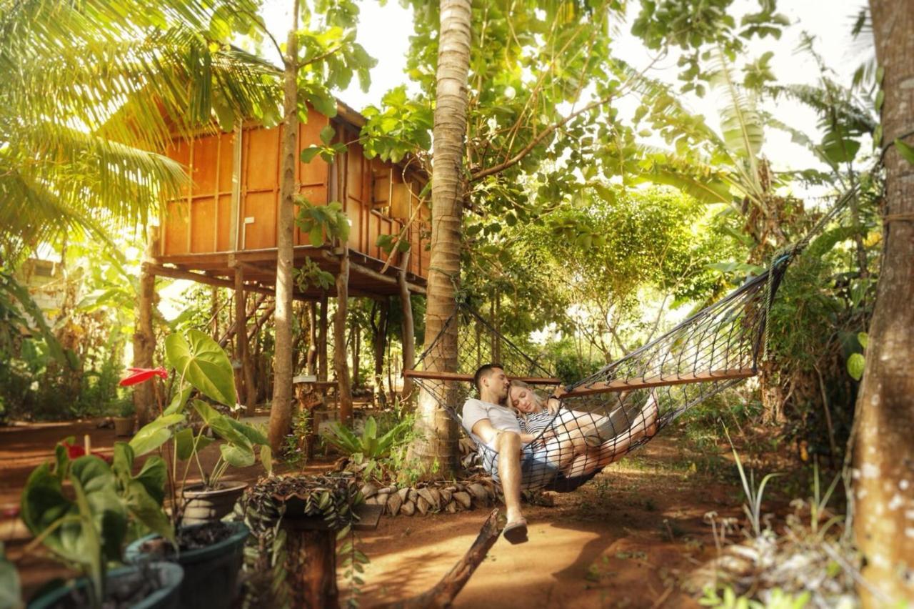 מלון סיגירייה Sigiri Aliya Tree House מראה חיצוני תמונה