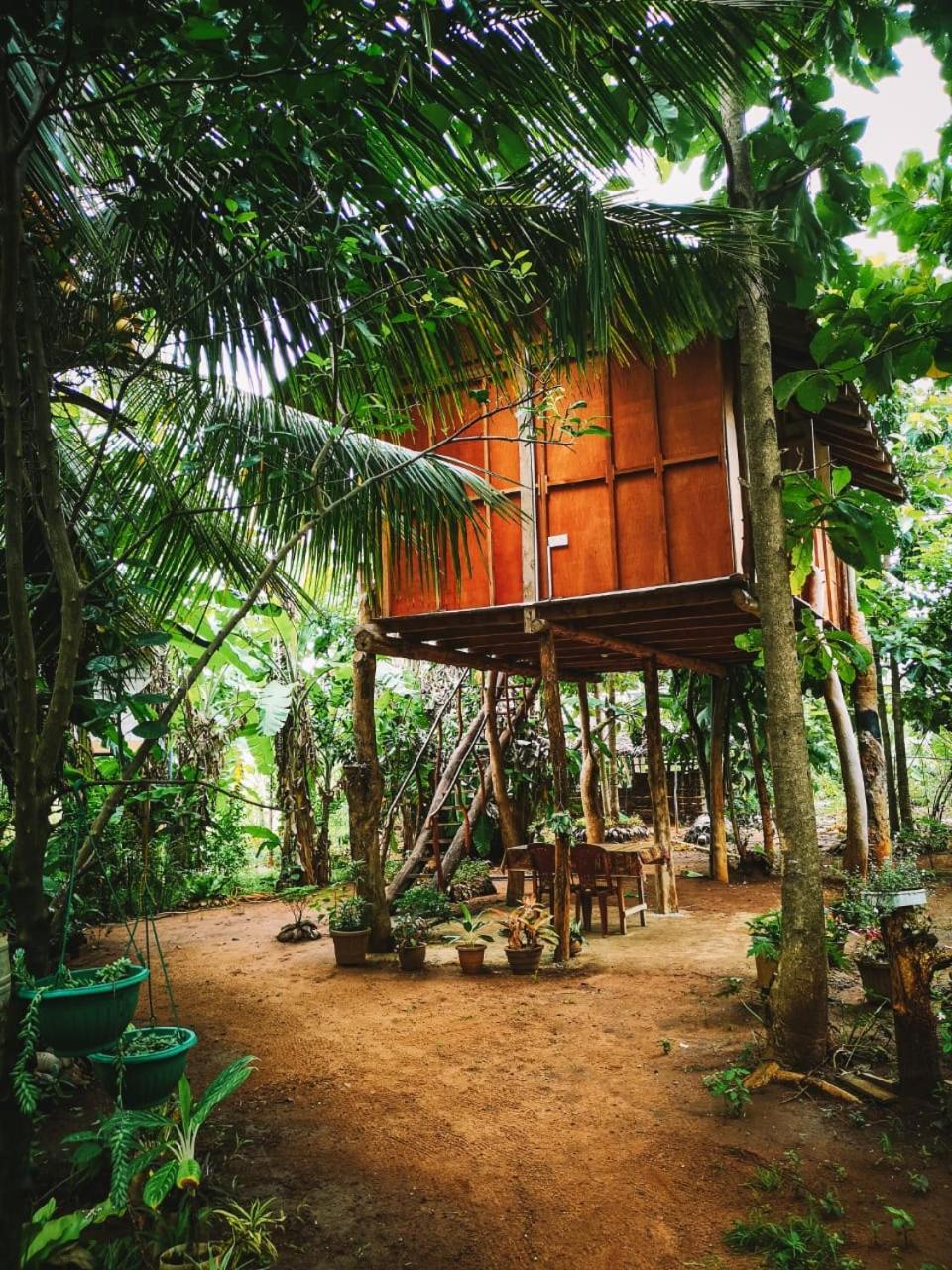 מלון סיגירייה Sigiri Aliya Tree House מראה חיצוני תמונה